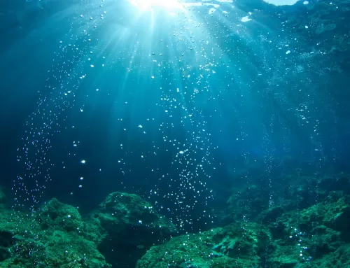 Ocean Deoxygenation